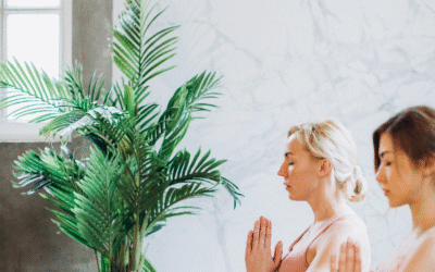 Meditación avanzada: ciencia y tradición para transformar tu mente